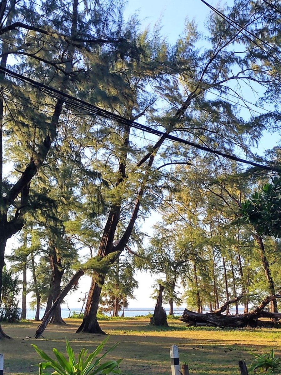 Nai Yang Beach