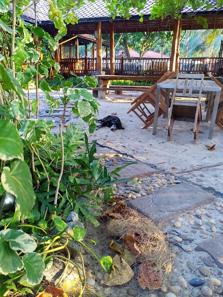 Nai Yang Beach