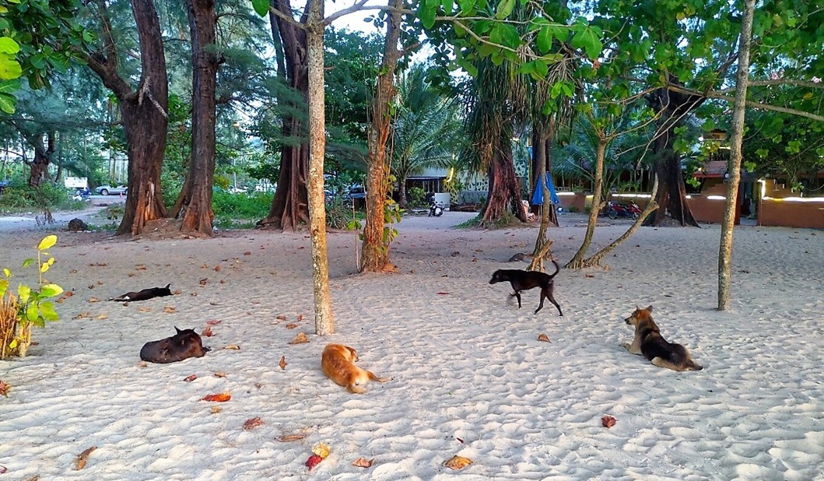 Sirinatin kansallispuisto Phuket