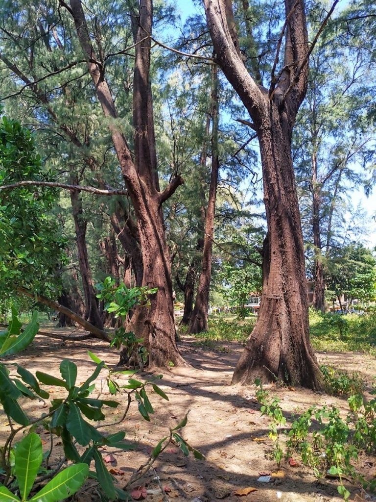 Sirinatin kansallispuisto Phuket