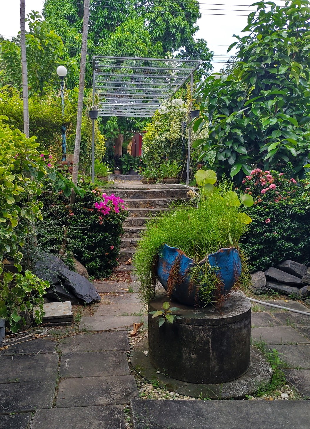 Forest bungalows