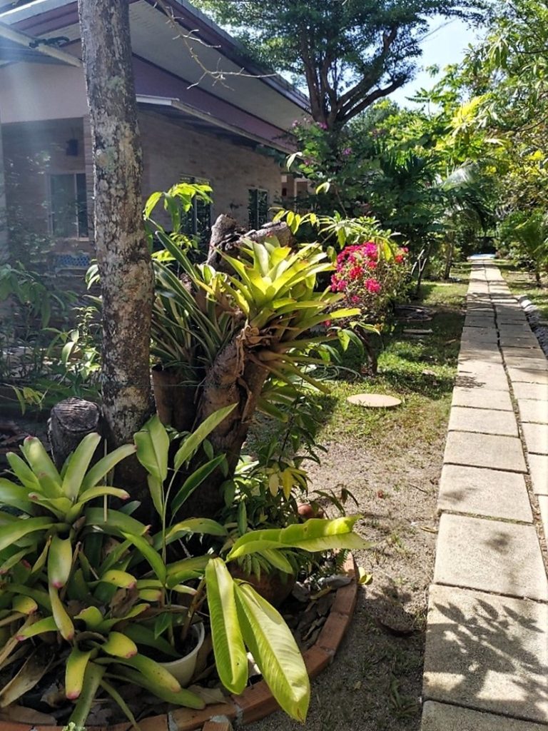 Canal Resort Nai Yang Beach