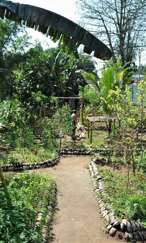 Sri Lanka Ayurveda-puutarha