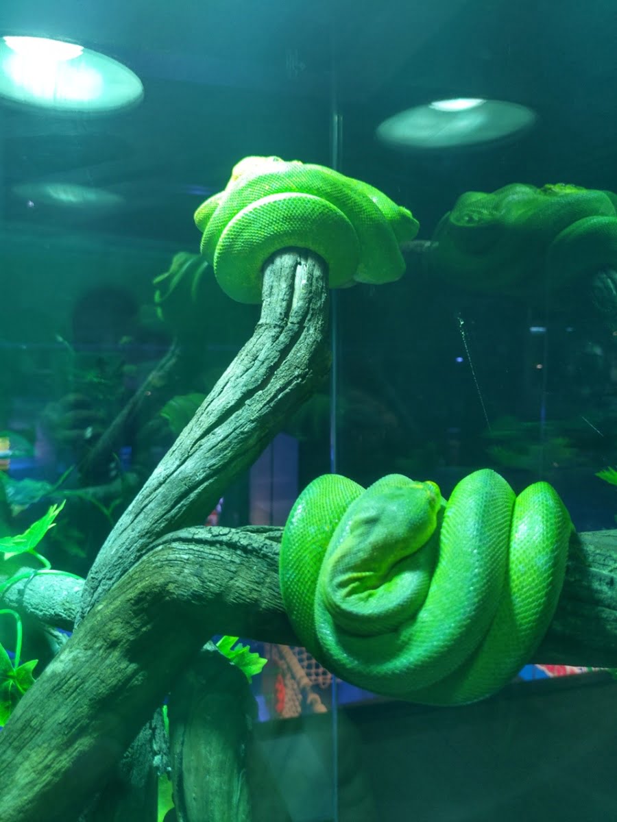 Aquaria Phuket