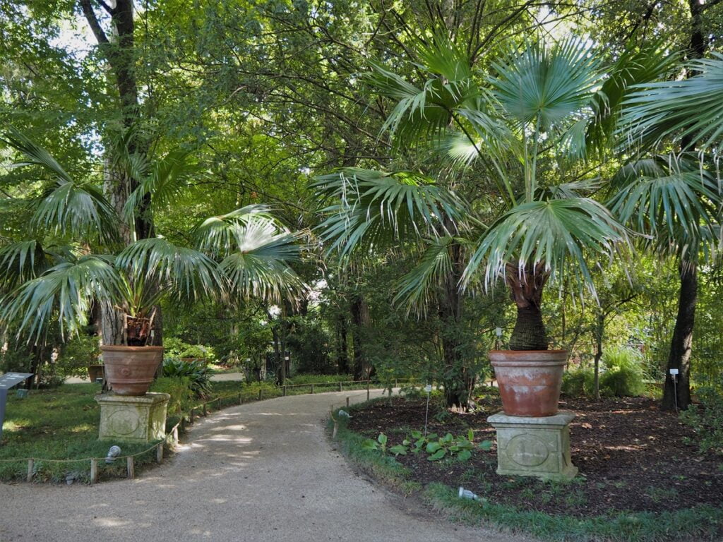 Matka aikojen yli - Padovan kasvitieteellinen puutarha Orto Botanico