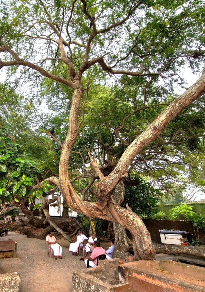 Fort Kochi Beach - Kohti avaraa maailmaa