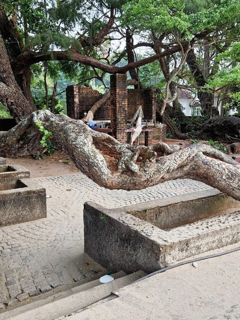 Fort Kochi Beach - Kohti avaraa maailmaa