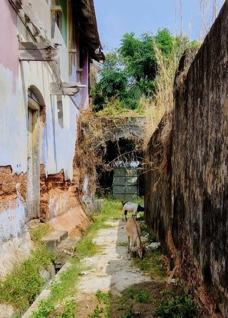 Spice Fort Kochi - Kohti avaraa maailmaa