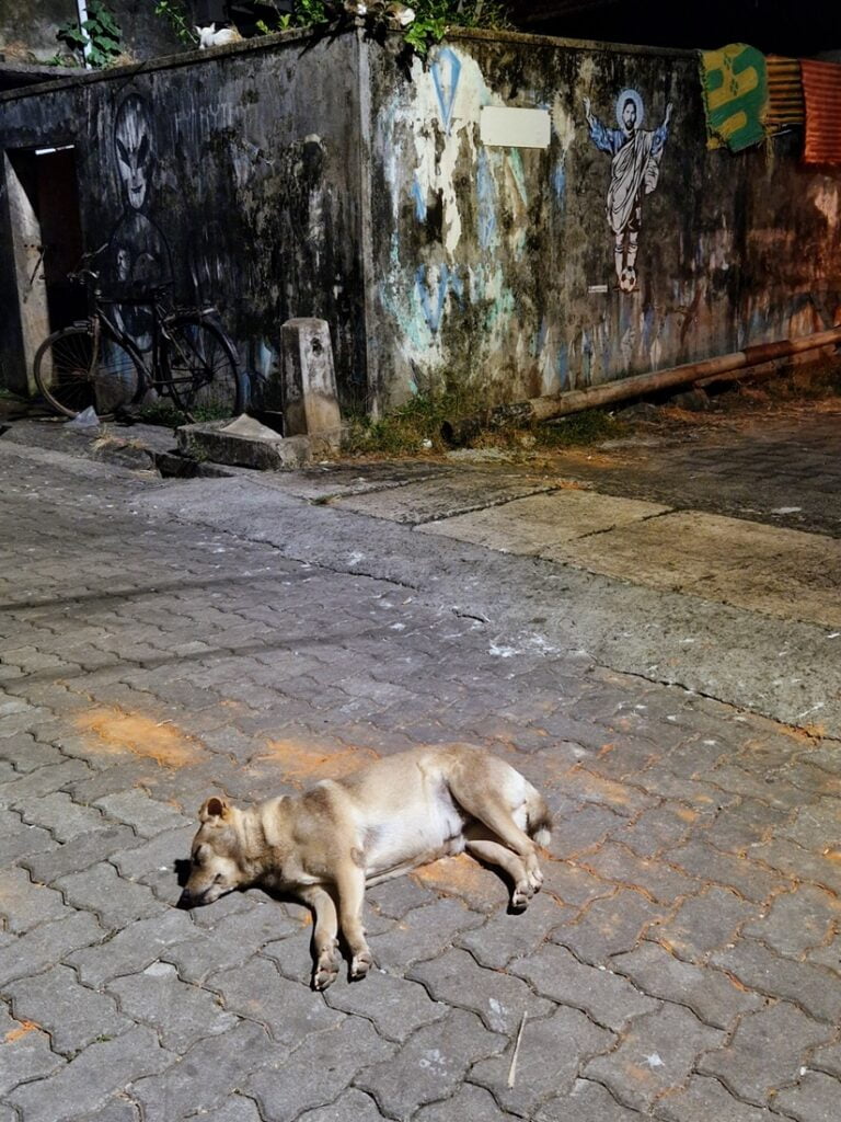 Fort Kochi - muraaleja ja graffiteja siirtomaa-ajan satamakaupungissa