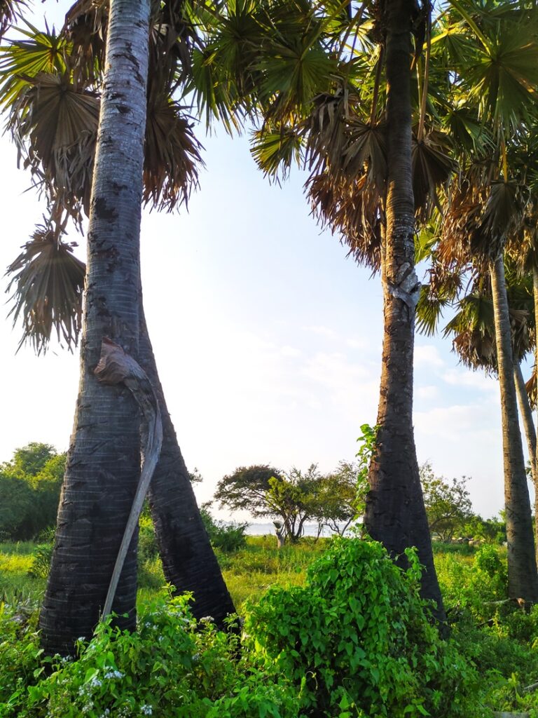 Lake Sanctuary Resort - Kohti avaraa maailmaa