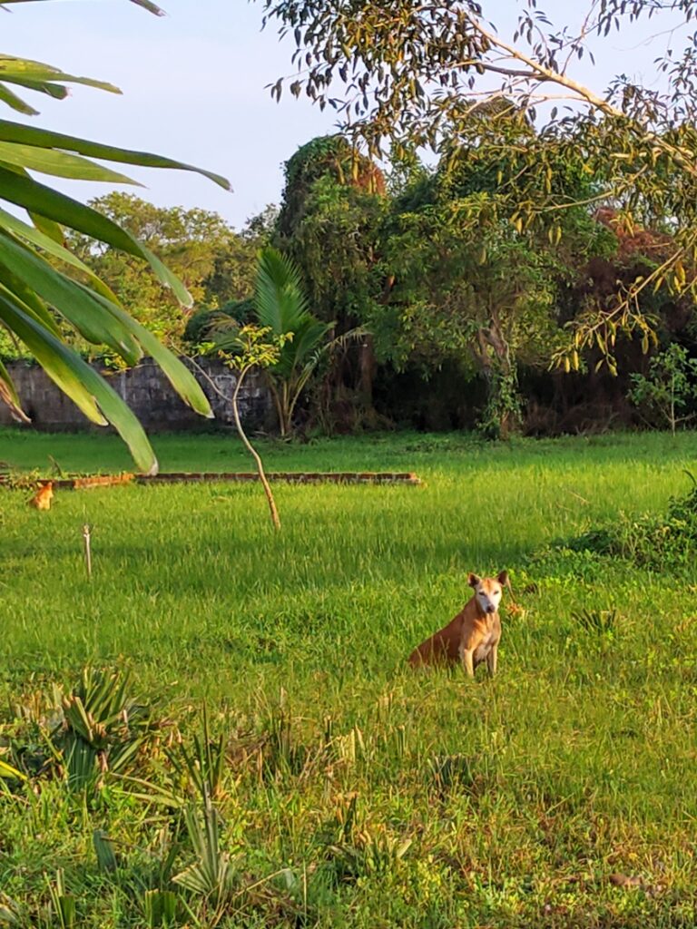 Lake Sanctuary Resort - Kohti avaraa maailmaa