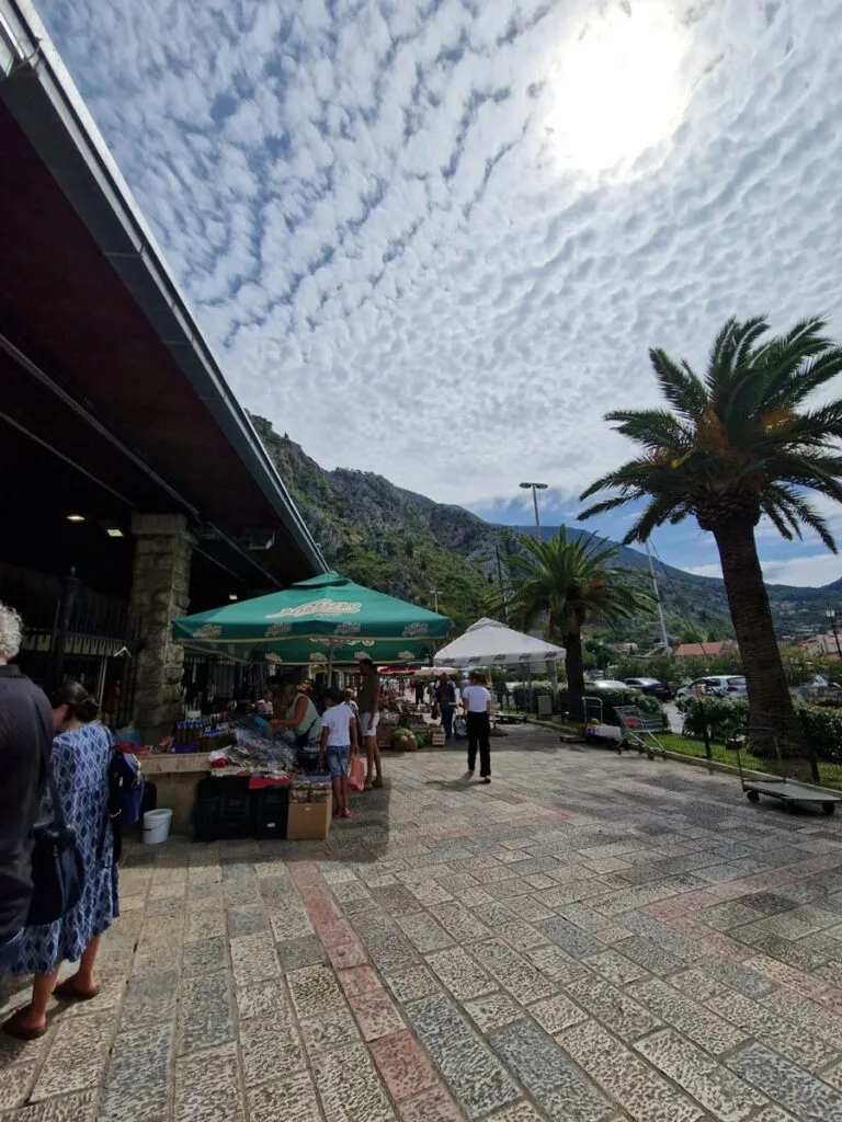 Kotor - kissojen kaupunki - sekä turistien