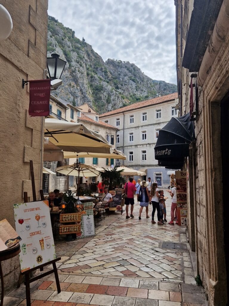 Kotor - kissojen kaupunki - sekä turistien