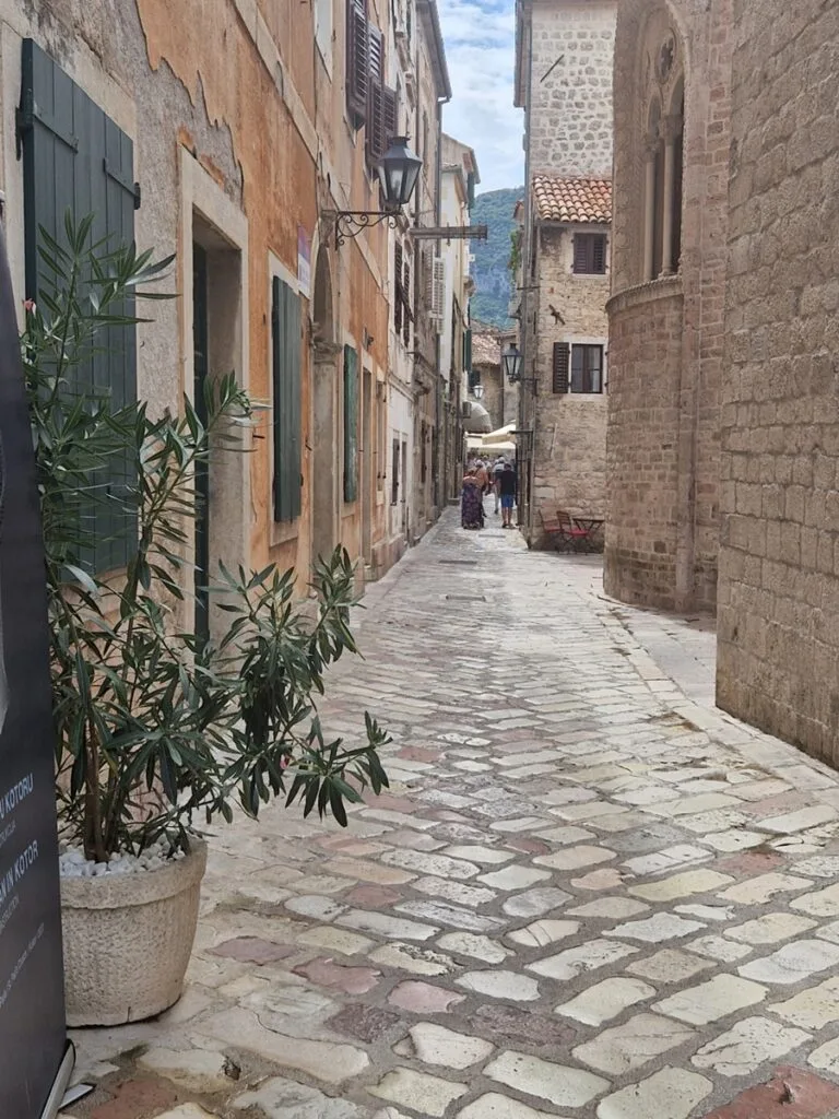 Kotor - kissojen kaupunki - sekä turistien