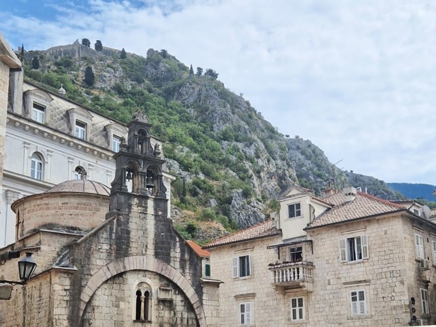 You are currently viewing Kotor – kissojen kaupunki – sekä turistien!