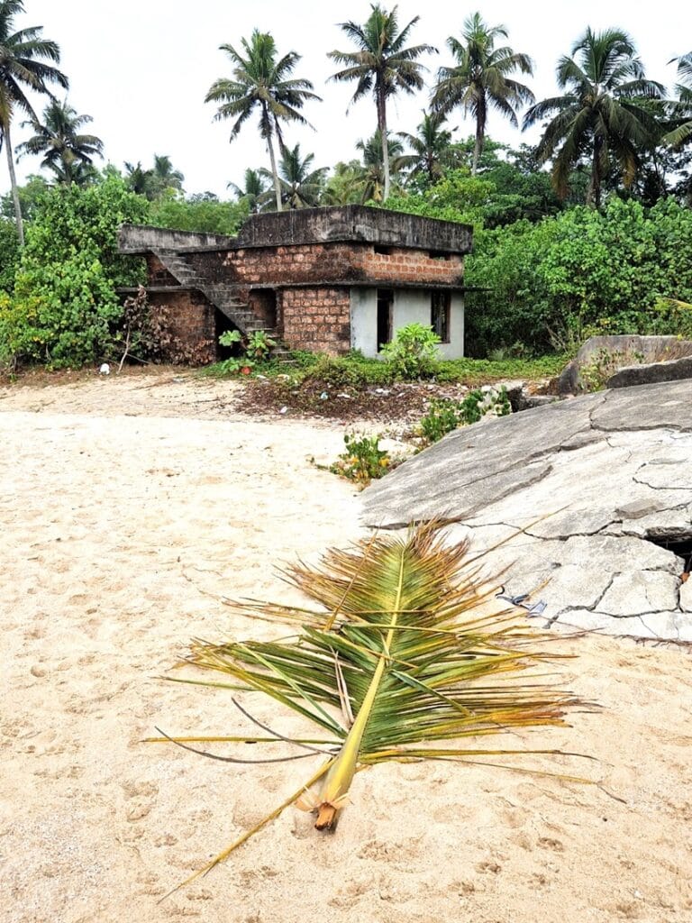 Autiota hiekkarantaa ja ayurvedaa Keralassa