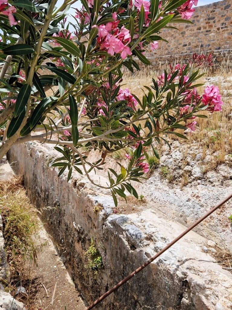 Karunkaunis Spinalonga Kreetalla