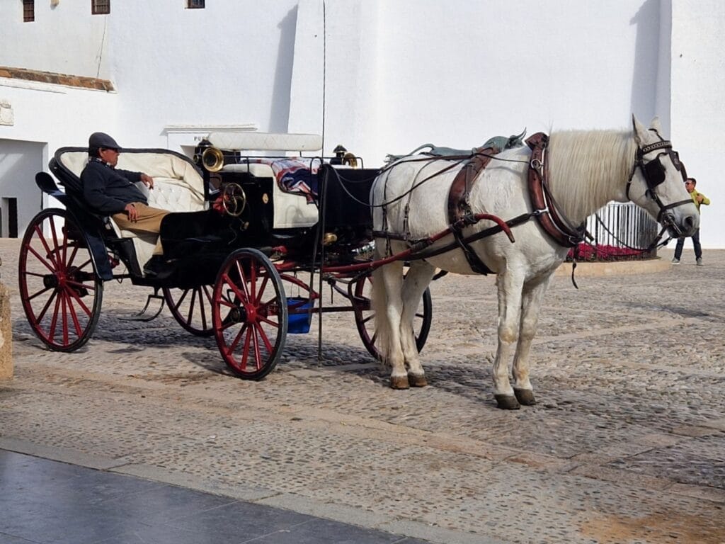 Ryhmämatkalla Rondassa ja Setenil de Las Bodegasissa