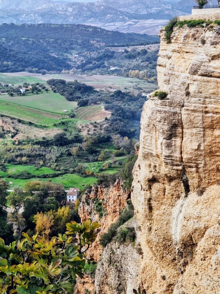 Ronda - Kohti avaraa maailmaa