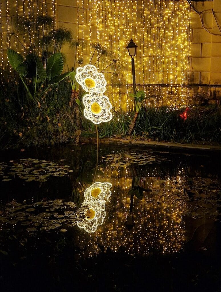 Jardin Botánico Ilusión - Kohti avaraa maailmaa