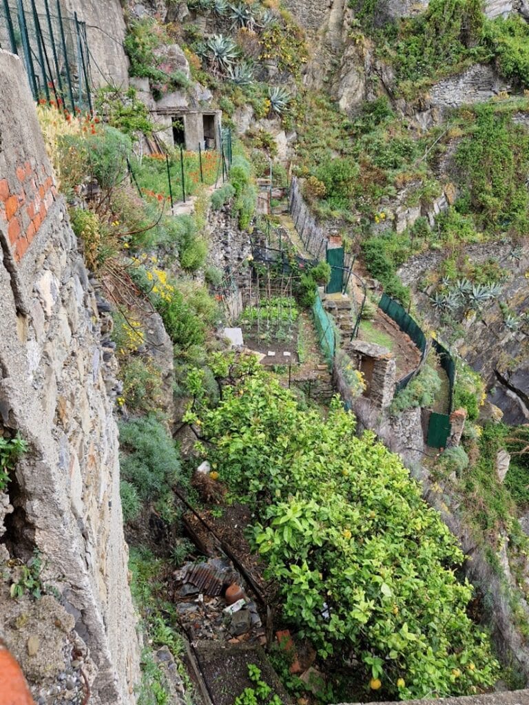 Manarola - Cinque Terren romanttisin kylä?