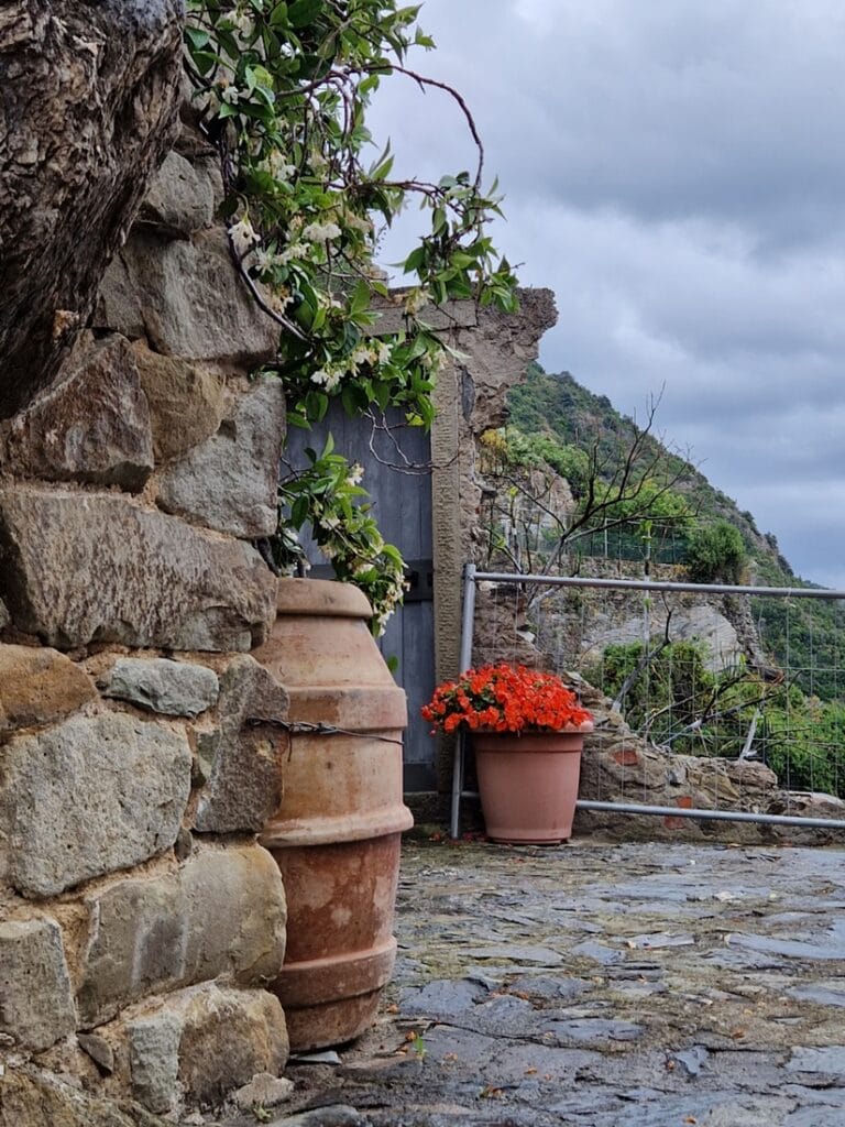 Manarola - Cinque Terren romanttisin kylä?