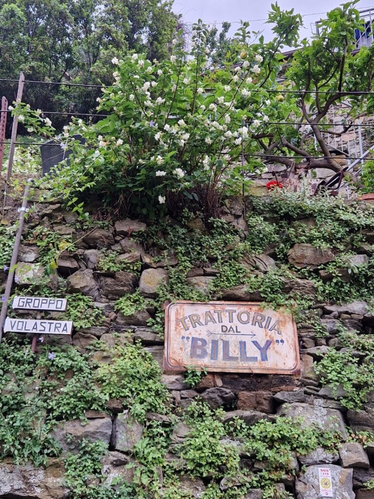 Manarola - Cinque Terren romanttisin kylä?