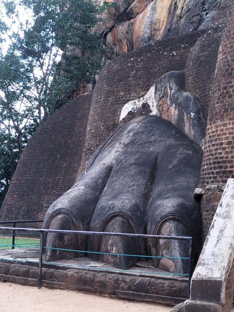 The Lion Rock - Kohti avaraa maailmaa