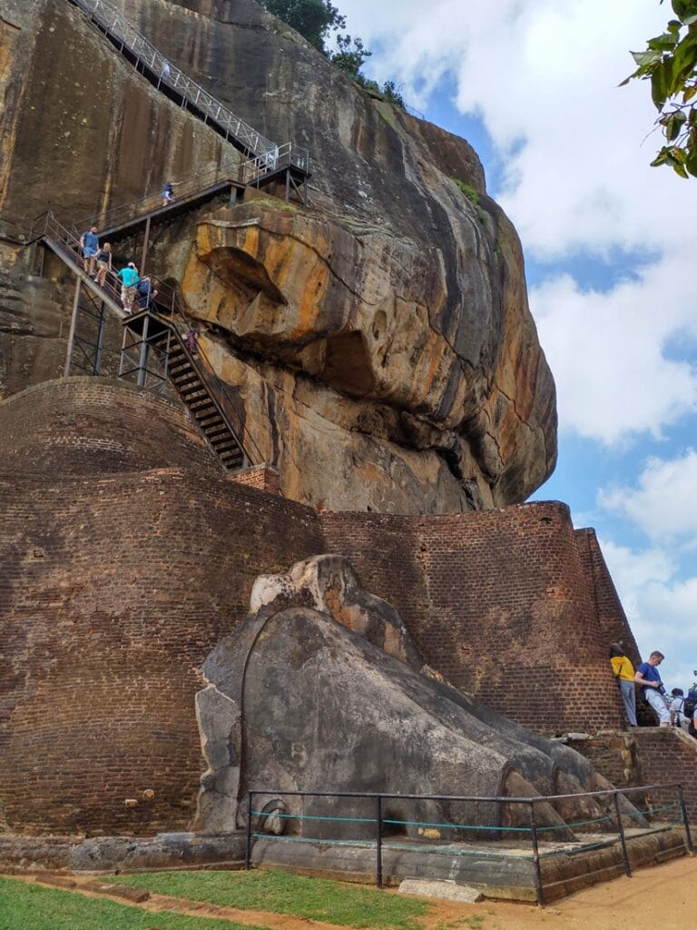 The Lion Rock - Kohti avaraa maailmaa