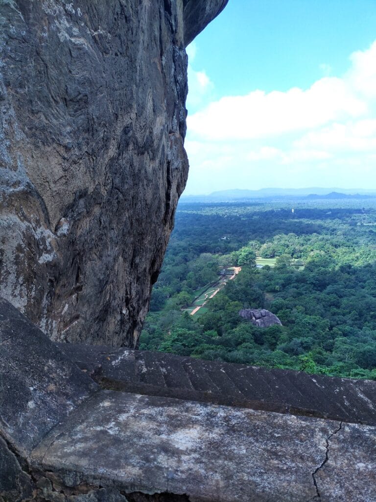 The Lion Rock - Kohti avaraa maailmaa