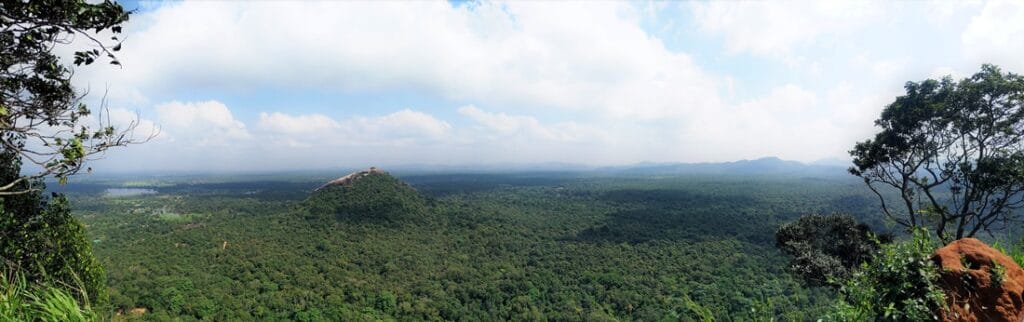 The Lion Rock - Kohti avaraa maailmaa