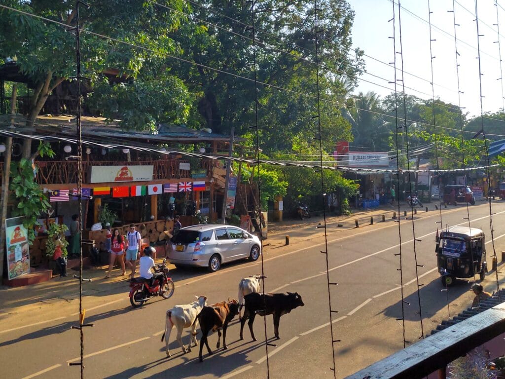 Sigiriya - Kohti avaraa maailmaa