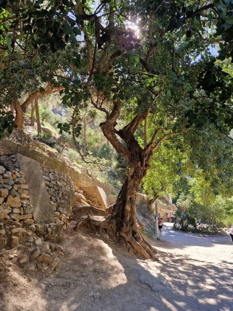 Caminito del Rey - Kohti avaraa maailmaa
