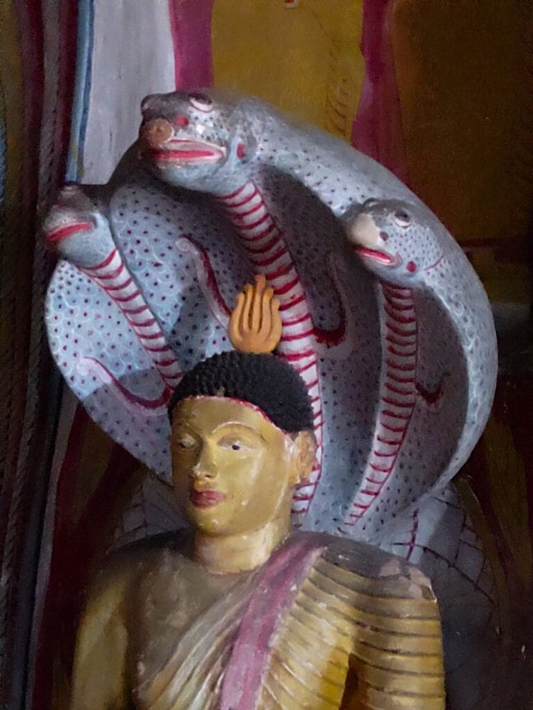 Dambulla - Kohti avaraa maailmaa
