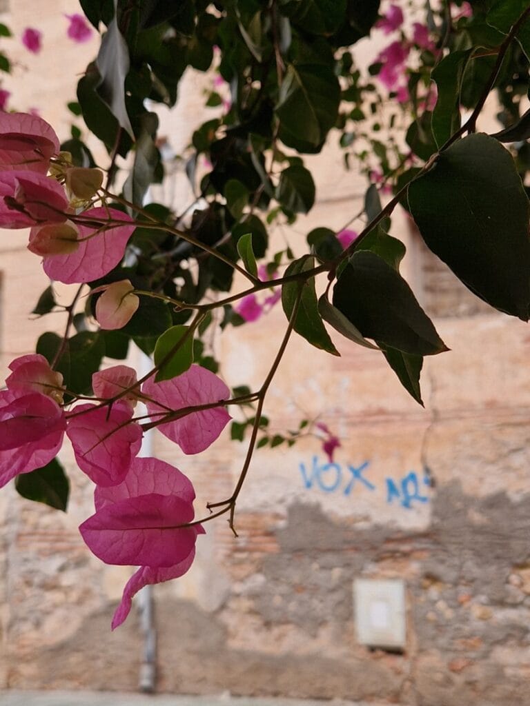 Almería - Kohti avaraa maailmaa
