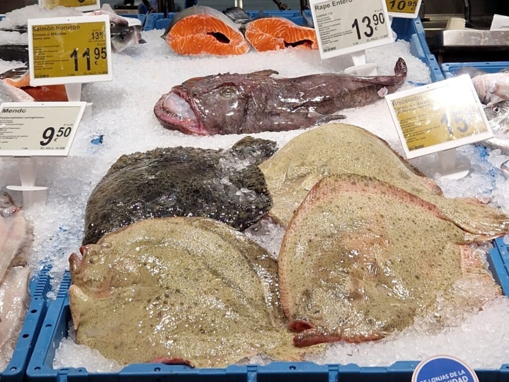 Pescaderia - Kohti avaraa maailmaa
