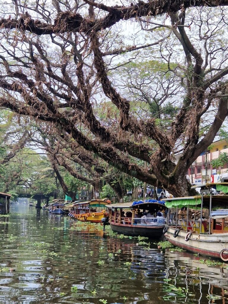 Keralan backwaters - Kohti avaraa maailmaa