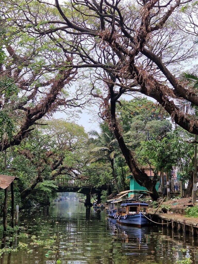 Keralan backwaters - Kohti avaraa maailmaa