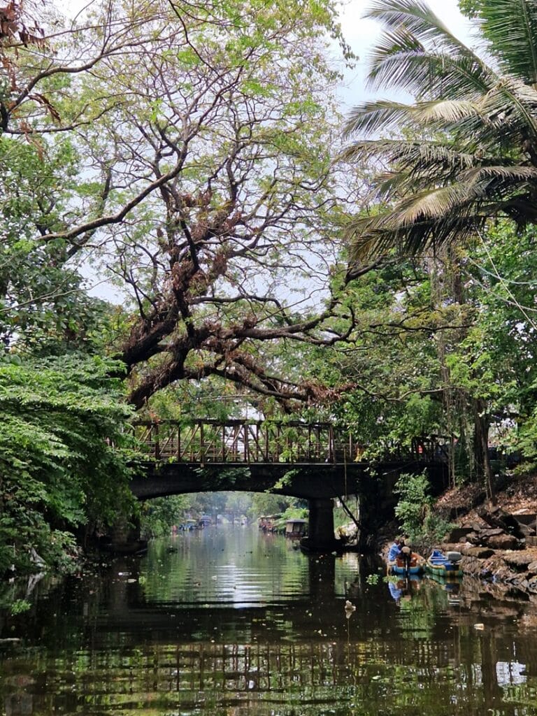 Keralan backwaters - Kohti avaraa maailmaa