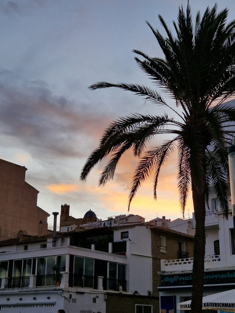 Altea - Kohti avaraa maailmaa