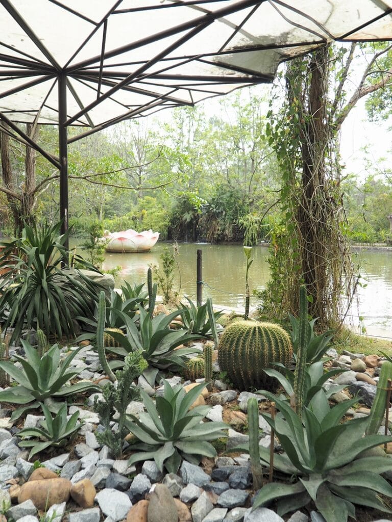 Angkor Botanical Garden - Kohti avaraa maailmaa