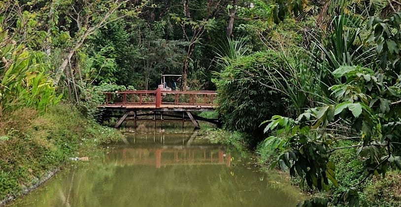 Angkor Botanical Garden - Kohti avaraa maailmaa