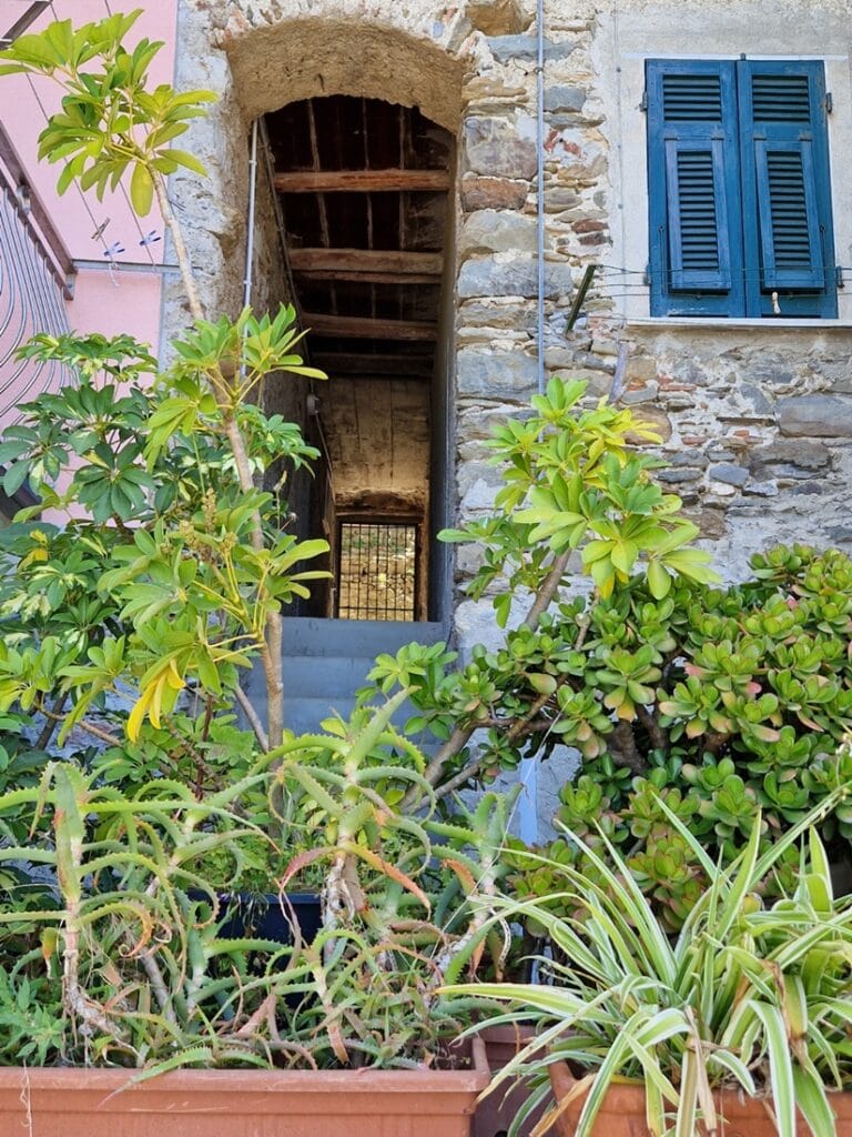 Corniglia - Kohti avaraa maailmaa