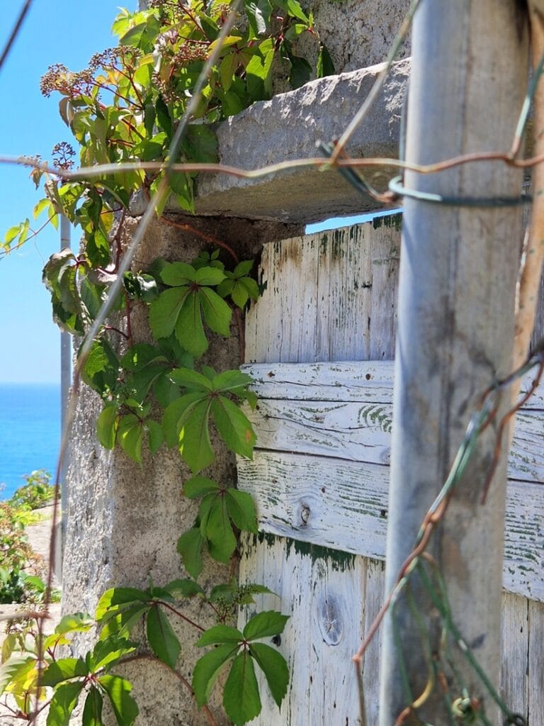 Corniglia - Kohti avaraa maailmaa
