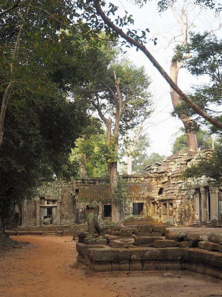 Ta Prohm - Kohti avaraa maailmaa