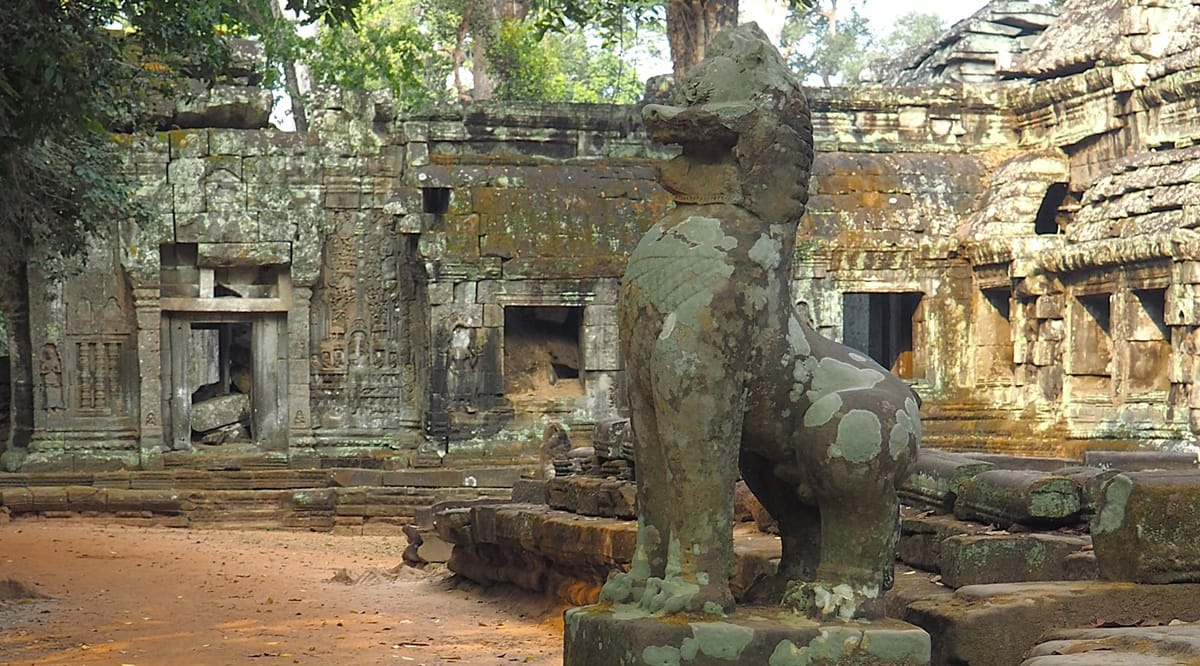 Ta Prohm - Kohti avaraa maailmaa