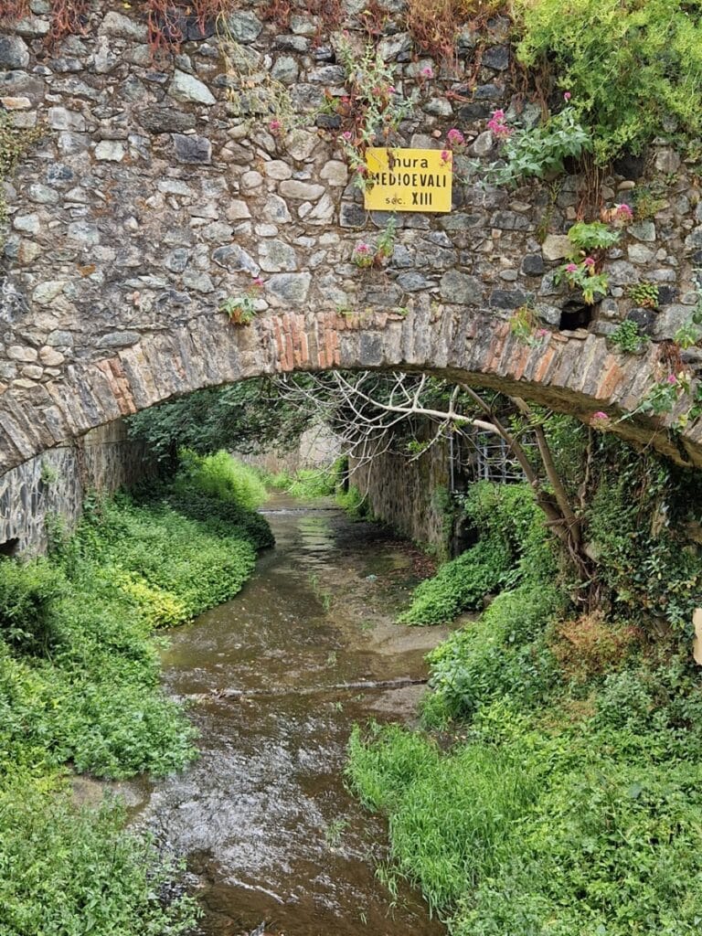 Levanto - Kohti avaraa maailmaa