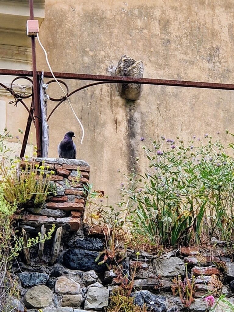 Levanto - Kohti avaraa maailmaa