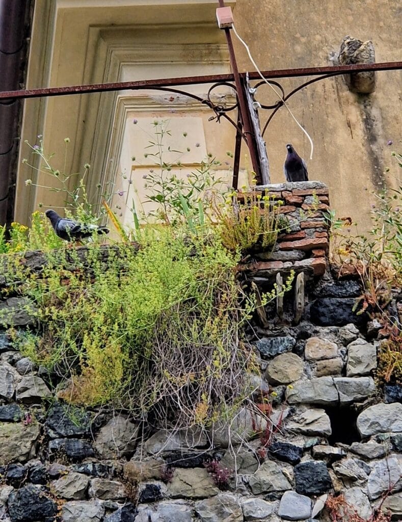 Levanto - Kohti avaraa maailmaa