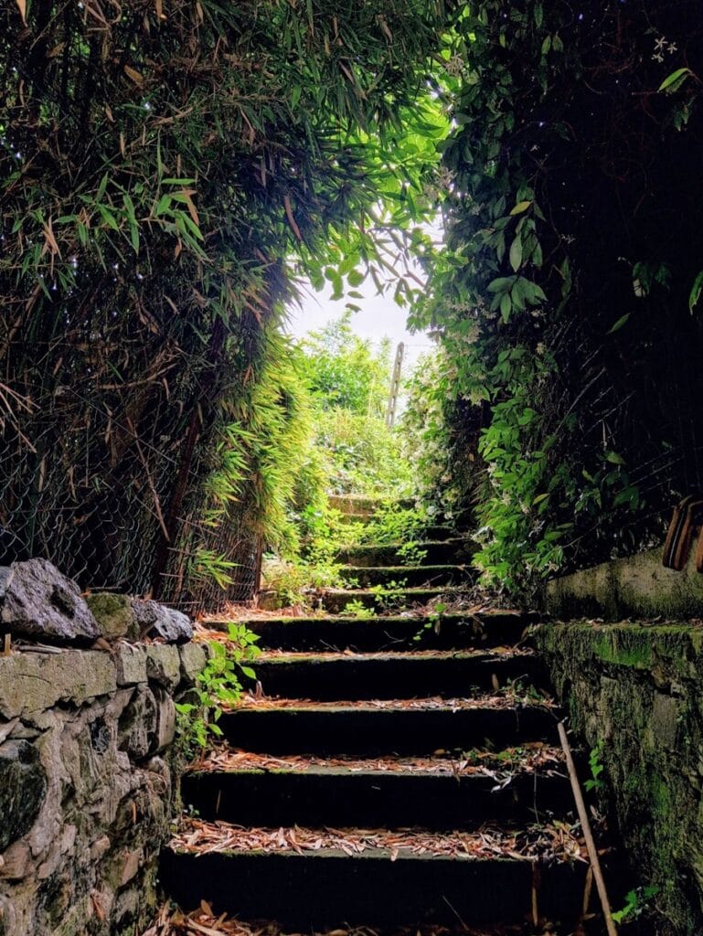 Levanto - Kohti avaraa maailmaa